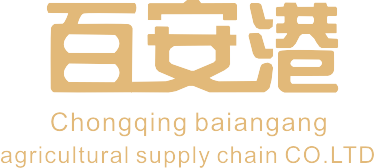b体育·(sports)官方网站