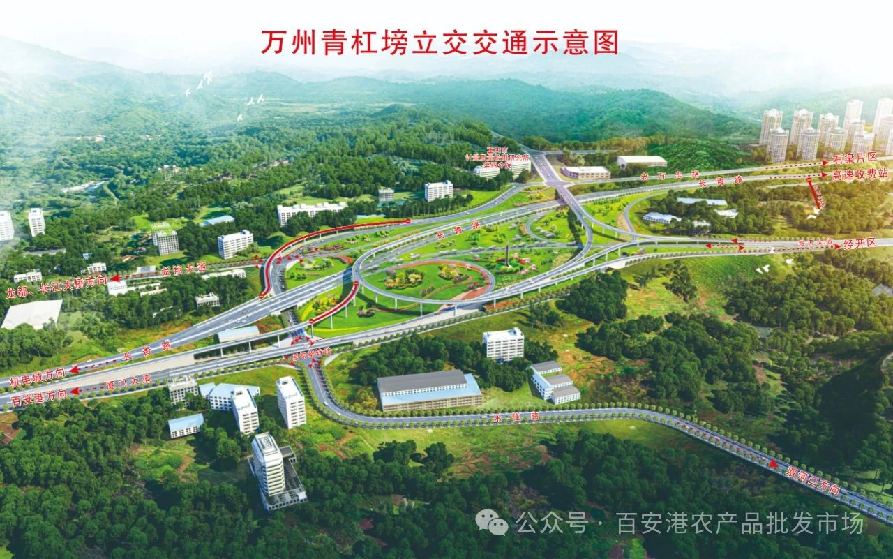 2月1日青杠塝立交通车啦，出收费站后直达百安港农产品批发市场！