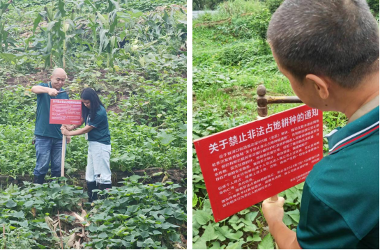 百安港对项目已征未建区域违规种植等侵权行为开展整治工作