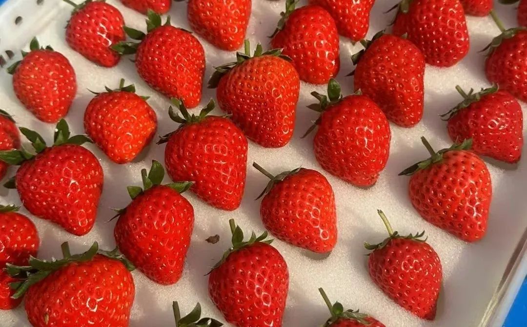 用农产品传递甜蜜，让爱意“果”然不同！