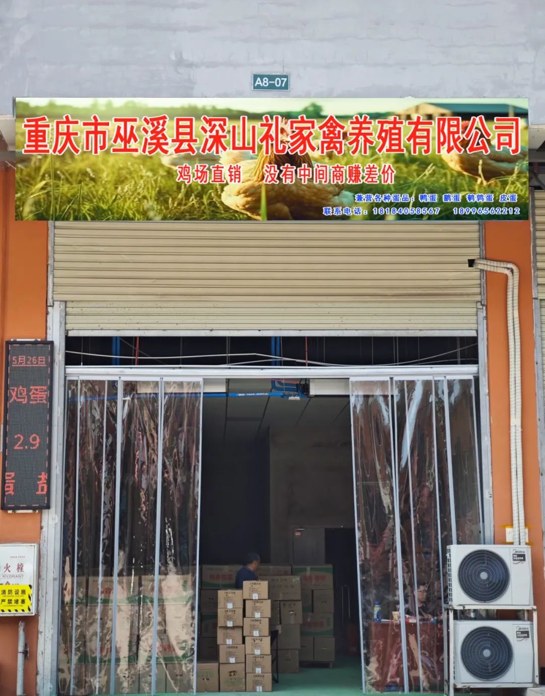 喜报 | 重庆市巫溪县深山礼家禽养殖有限公司入驻百安港农产品批发市场