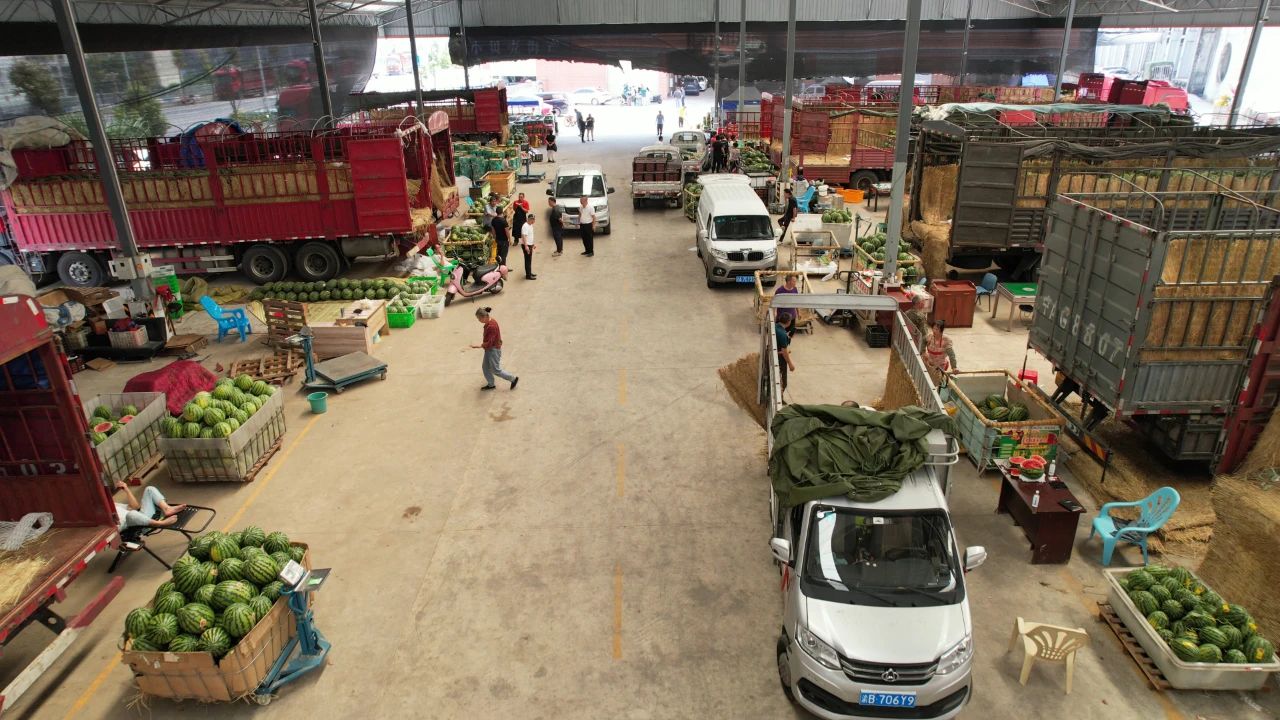 百安港农产品批发市场：西瓜汇集地
